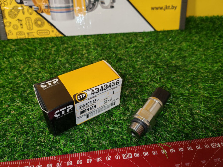 4343436CTP (6)